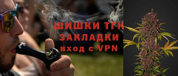 тгк Каменногорск