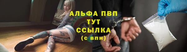 тгк Каменногорск