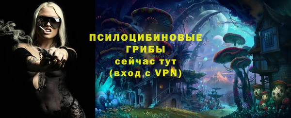ECSTASY Инта